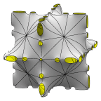 Schoen C27(P) surface