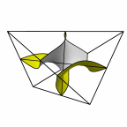 disphenoid p=19 