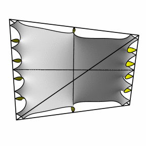 starfish 2-4 tetra