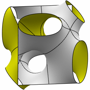 starfish 2-1 cubelet