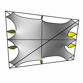 starfish 2-2 tetra