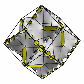 starfish 2-3 rhomb