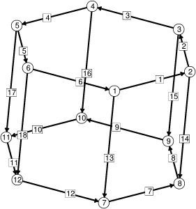 catenoid skeleton