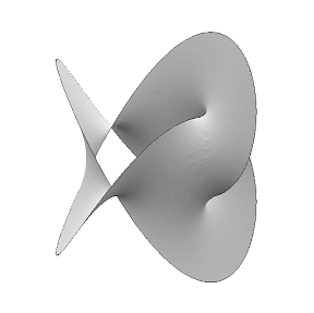 Unorientable manifold