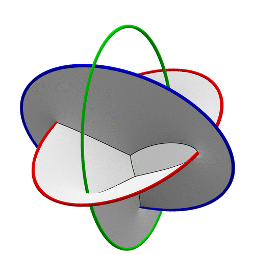 tetra bare lobe