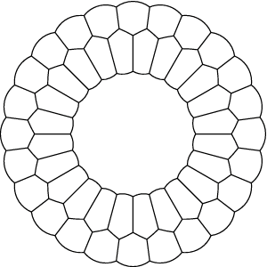 Chain ring cluster
